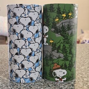 Peanuts Snoopy and Woodstock Decor - Blue and Green